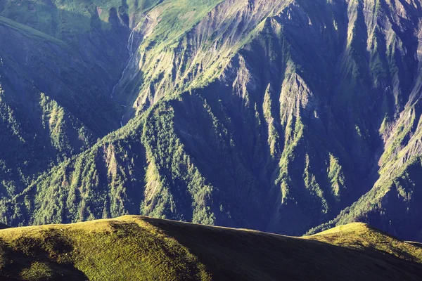 여름 녹색 언덕 — 스톡 사진