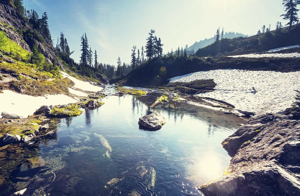 Lago da serenidade em montanhas — Fotografia de Stock