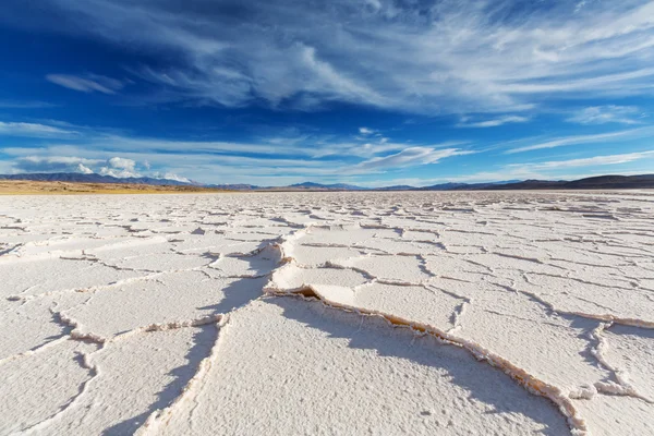 Сіль пустелі у провінції Jujuy — стокове фото