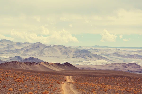 Landscape of Northern Argentina — Stock Photo, Image