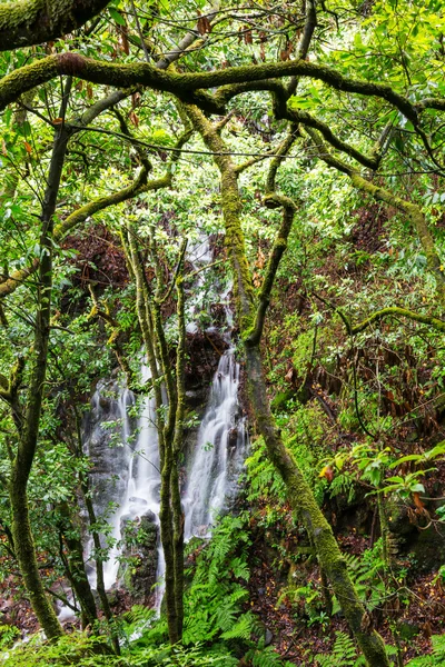 Movimento a cascata in pietra — Foto Stock