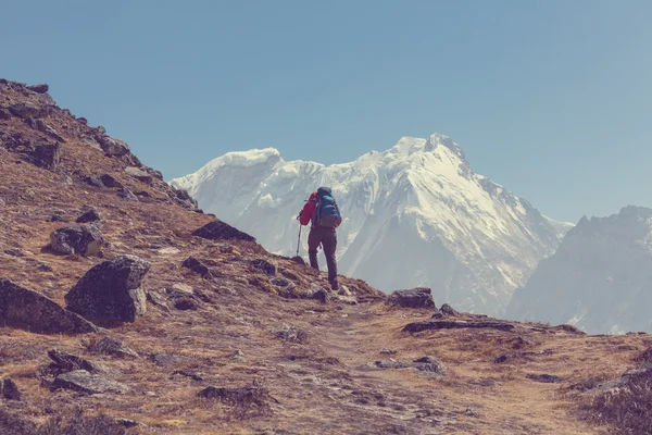 Randonneur dans les montagnes de l'Himalaya — Photo