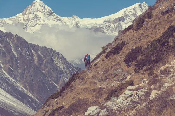Himalaya Dağları'nda uzun yürüyüşe çıkan kimse