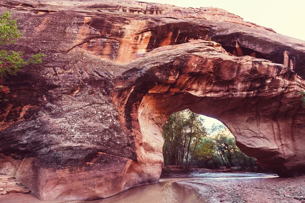 Vermillion Cliffs Área salvaje — Foto de Stock