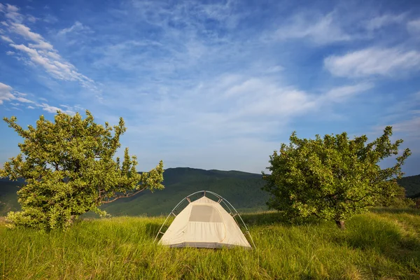 A zöld füves felület sátor — Stock Fotó