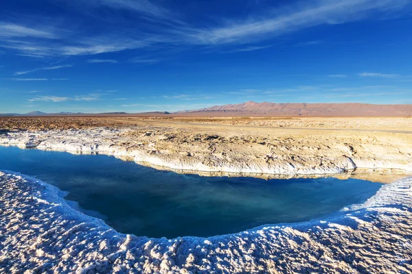 Сіль пустелі у провінції Jujuy — стокове фото