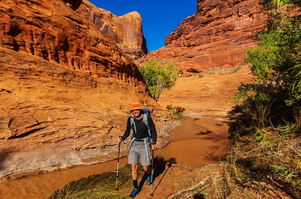 Caminhante em Coyote gulch — Fotografia de Stock