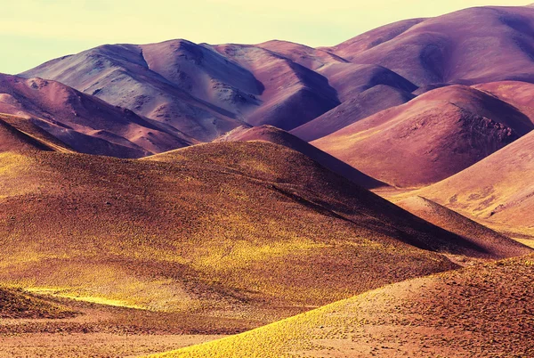 Landschaft im Norden Argentiniens — Stockfoto