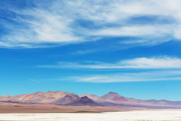 Paysage du nord de l'Argentine — Photo