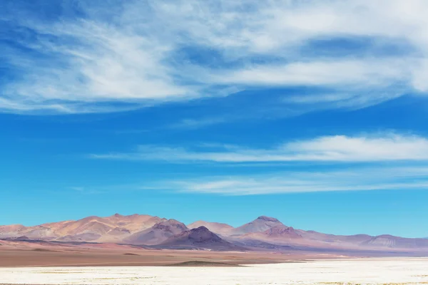 Krajina severní Argentina — Stock fotografie