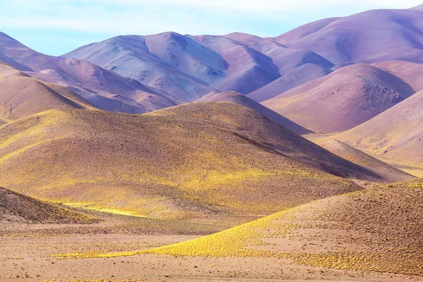 Landscape of Northern Argentina — Stock Photo, Image