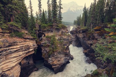 Banff Np kanyonda Johnston