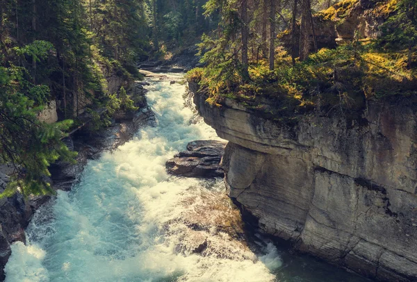 Каньйон Джонстон в Banff Np — стокове фото