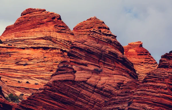 Vermillion Cliffs Area selvaggia — Foto Stock