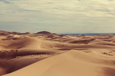 Gobi Çölü Dunes