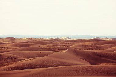 Gobi Çölü Dunes