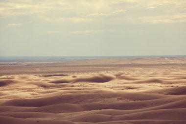 Gobi Çölü Dunes