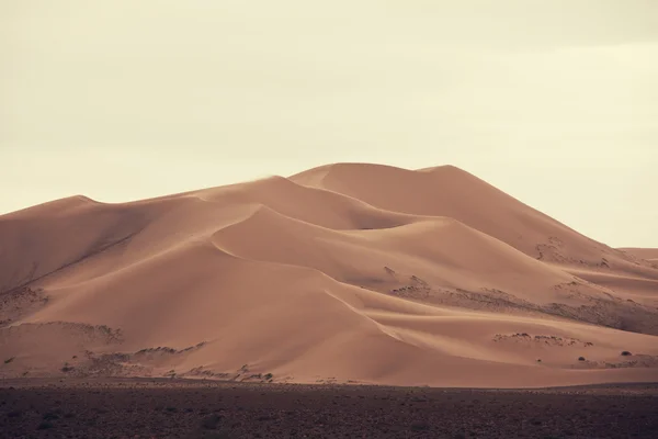 Góbi sivatag dűnéi által — Stock Fotó