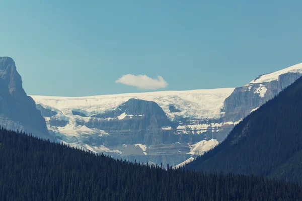 Canadese bergen in de zomer — Stockfoto