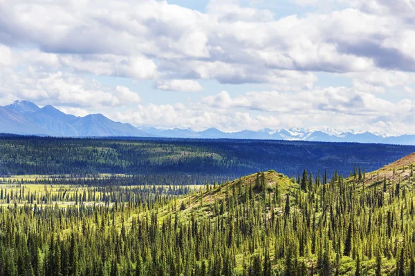 Picturesque Mountains di Alaska — Stok Foto