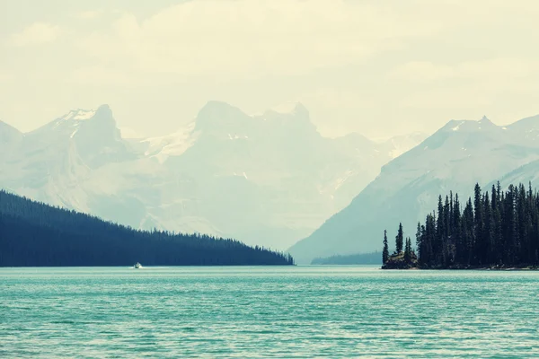 Canadian mountains in summer — Stock Photo, Image