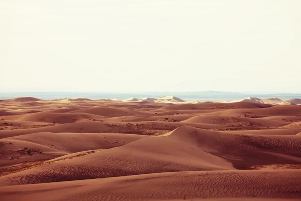 Dune del deserto del Gobi — Foto Stock