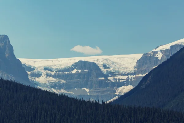 Canadian mountains in summer Stock Image