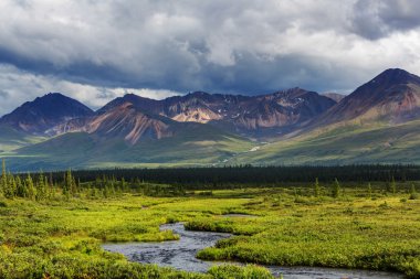 Alaska'da pitoresk dağlar