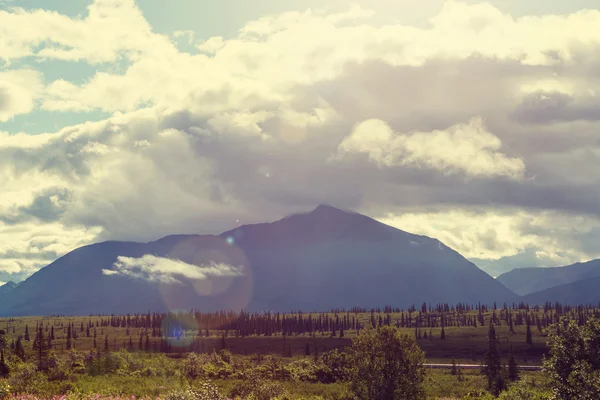 Alaska'da pitoresk dağlar — Stok fotoğraf