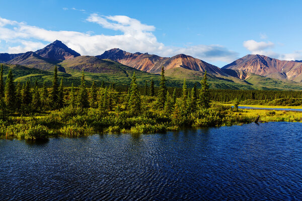 picturesque Mountains in Alaska