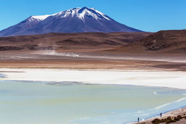 Montagnes enneigées en la Bolivie — Photo