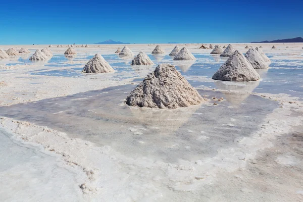 Sel plat sur l'Altiplano bolivien — Photo