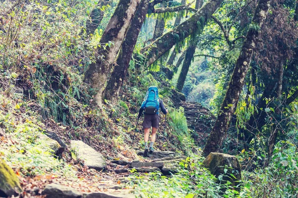 Caminata en las selvas de Nepal — Foto de Stock