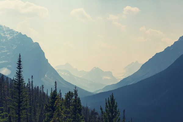 Kanadské hory v létě — Stock fotografie