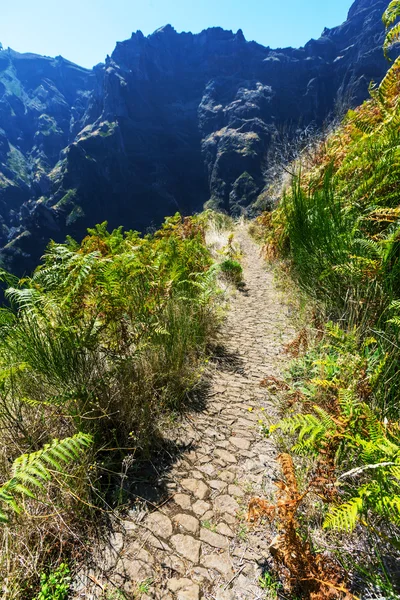 Mountains in Madeira, Portugal — Stock Photo, Image