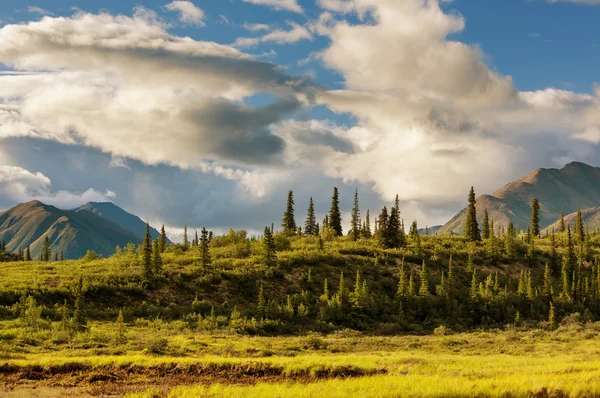 Alaska'da pitoresk dağlar — Stok fotoğraf