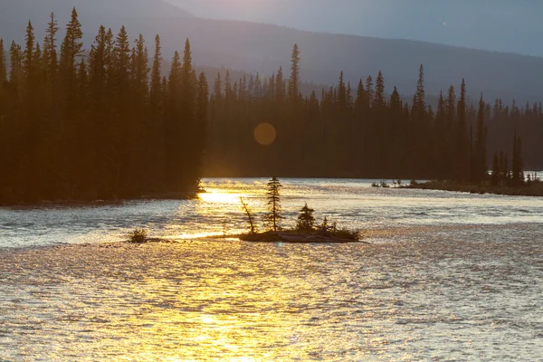 Canadian mountains in summer — Stock Photo, Image