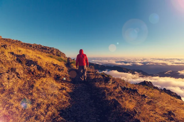 Man hiking on Madeira island — Stock Photo, Image