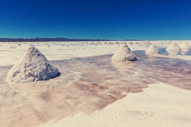 Bolivya'daki tuz daireler