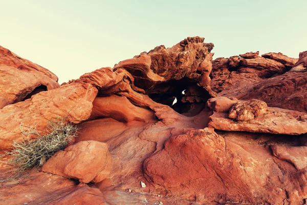 Yangın Nevada, ABD Vadisi — Stok fotoğraf