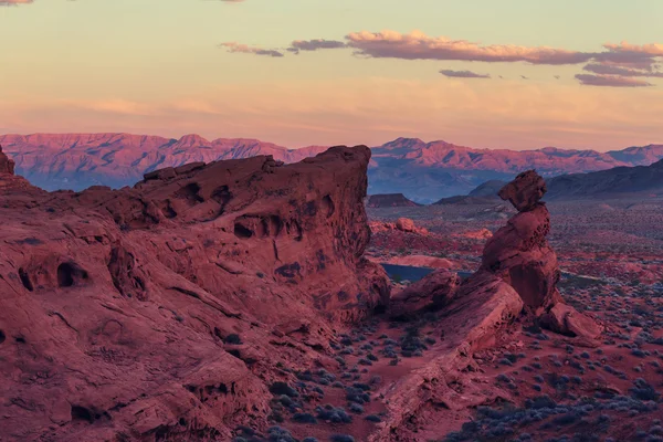 Valley of Fire Nevada, USA – stockfoto