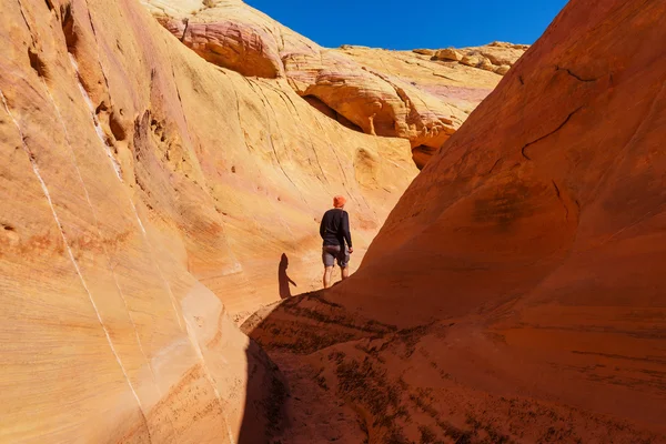 Valley of Fire Nevada, Verenigde Staten — Stockfoto