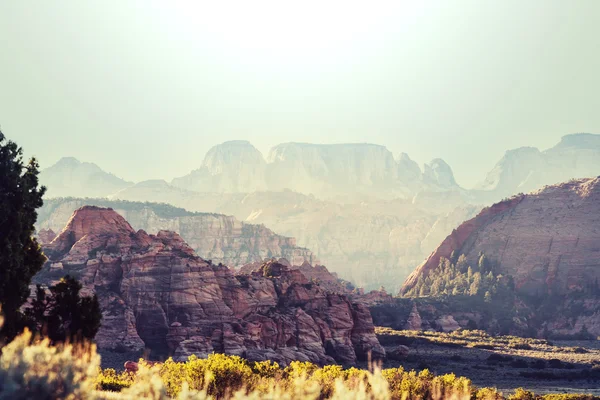 Malownicze góry w Zion Park — Zdjęcie stockowe