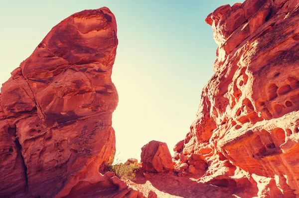 Valley of Fire Nevada, USA — Stock Photo, Image