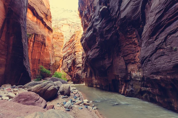 Picturesque Canyon in Utah — Stock Photo, Image