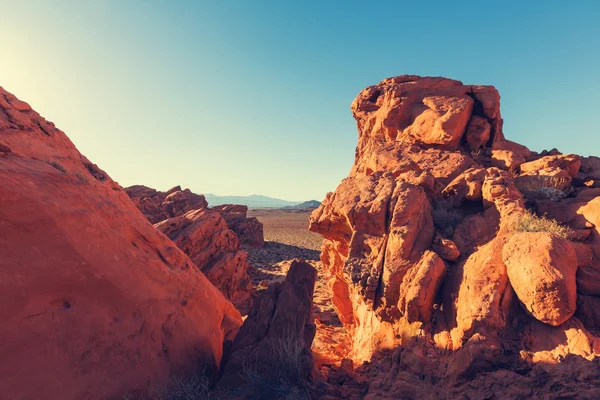 Yangın Nevada, ABD Vadisi — Stok fotoğraf