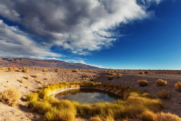 Doğal Kuzey Arjantin — Stok fotoğraf