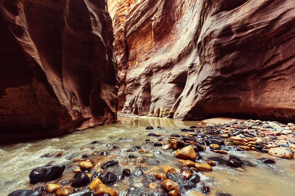 Malerische Schlucht in utah — Stockfoto