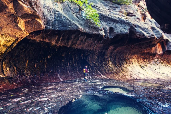 Festői Canyon Utah — Stock Fotó