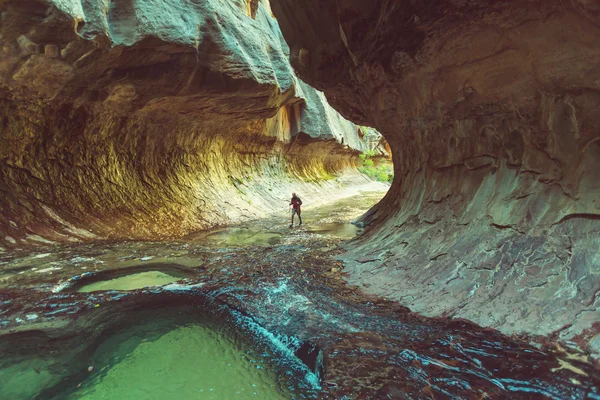 Parque nacional de Zion — Foto de Stock